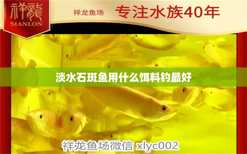 淡水石斑魚用什么餌料釣最好 福虎/異型虎魚/純色虎魚 第2張