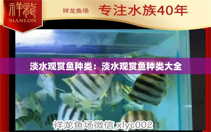 淡水觀賞魚種類：淡水觀賞魚種類大全