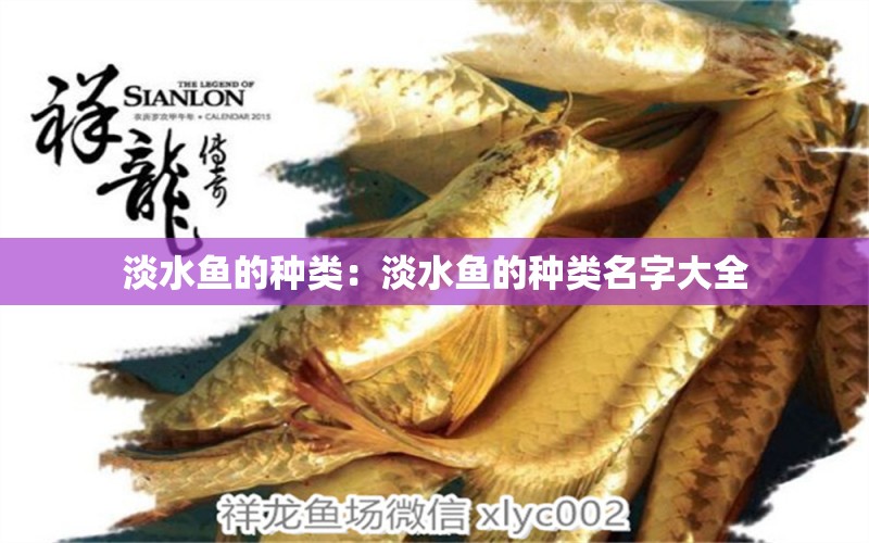 淡水魚(yú)的種類：淡水魚(yú)的種類名字大全