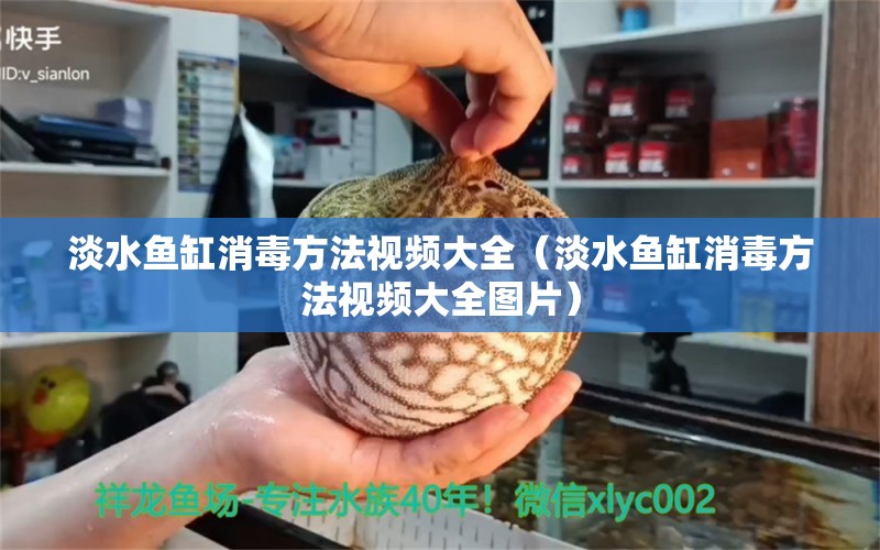 淡水魚缸消毒方法視頻大全（淡水魚缸消毒方法視頻大全圖片）