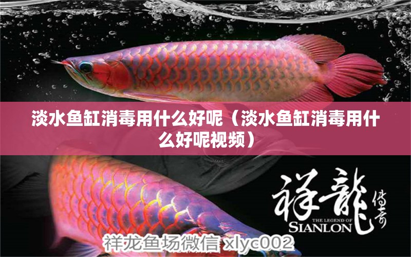 淡水魚缸消毒用什么好呢（淡水魚缸消毒用什么好呢視頻）