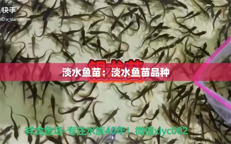 淡水魚苗：淡水魚苗品種