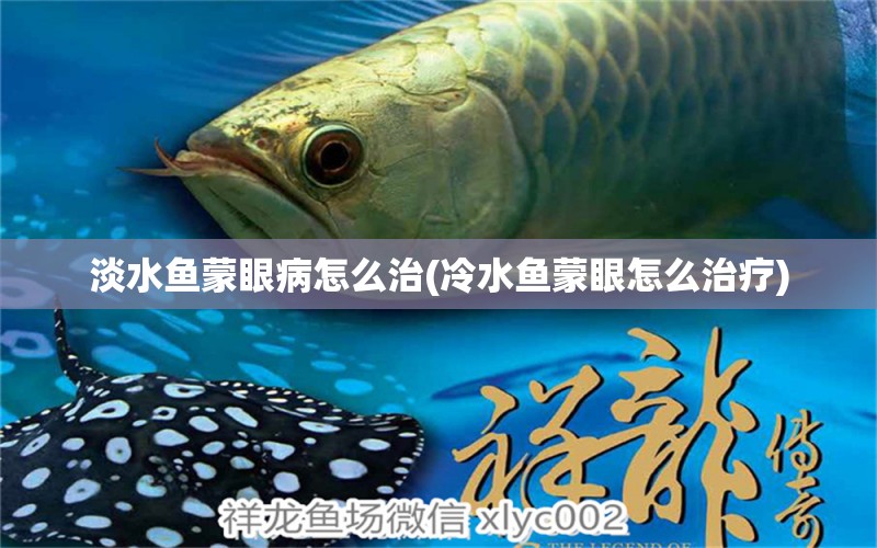 淡水魚蒙眼病怎么治(冷水魚蒙眼怎么治療) 可麗愛魚缸