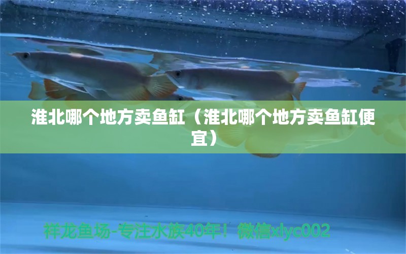 淮北哪個(gè)地方賣魚(yú)缸（淮北哪個(gè)地方賣魚(yú)缸便宜）