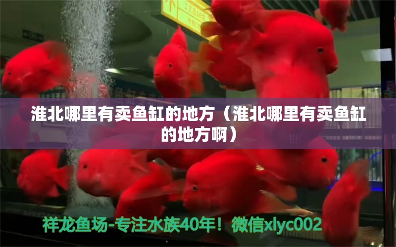 淮北哪里有賣(mài)魚(yú)缸的地方（淮北哪里有賣(mài)魚(yú)缸的地方?。? title=