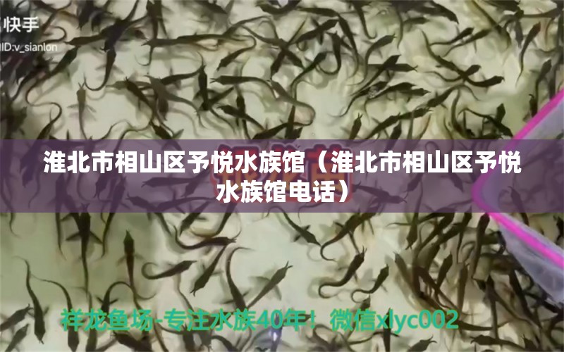 淮北市相山區(qū)予悅水族館（淮北市相山區(qū)予悅水族館電話）