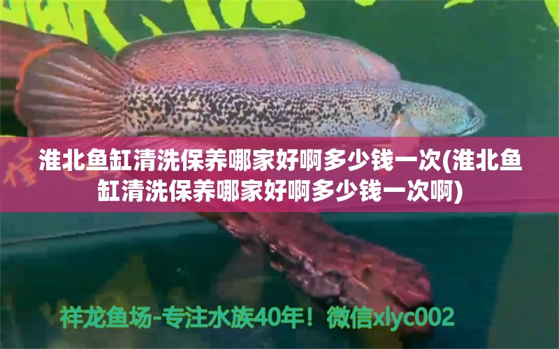 淮北魚缸清洗保養(yǎng)哪家好啊多少錢一次(淮北魚缸清洗保養(yǎng)哪家好啊多少錢一次啊) 廣州景觀設(shè)計