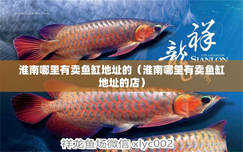 淮南哪里有賣魚缸地址的（淮南哪里有賣魚缸地址的店）