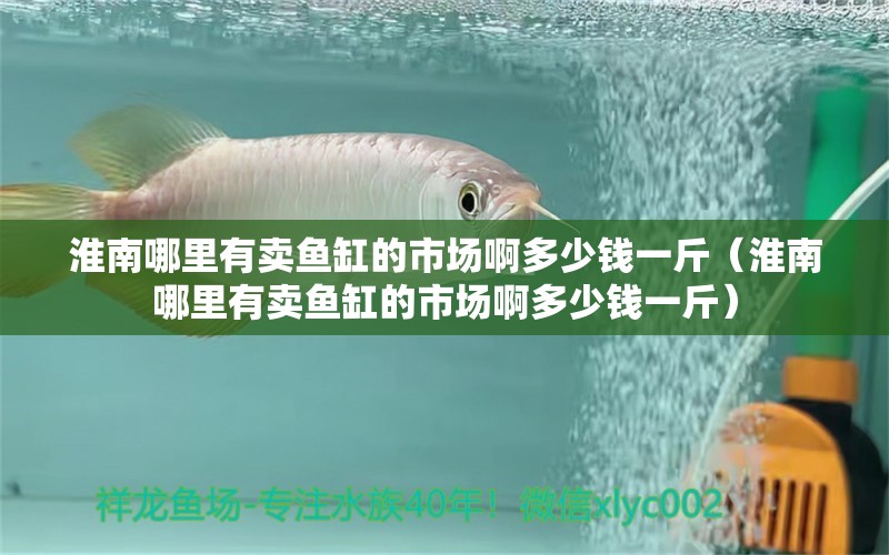 淮南哪里有賣魚(yú)缸的市場(chǎng)啊多少錢一斤（淮南哪里有賣魚(yú)缸的市場(chǎng)啊多少錢一斤） 彩鰈魚(yú)缸（彩蝶魚(yú)缸）