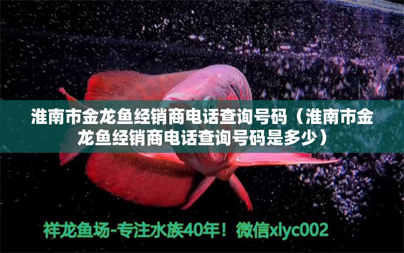 淮南市金龍魚經(jīng)銷商電話查詢號(hào)碼（淮南市金龍魚經(jīng)銷商電話查詢號(hào)碼是多少） 祥龍魚場