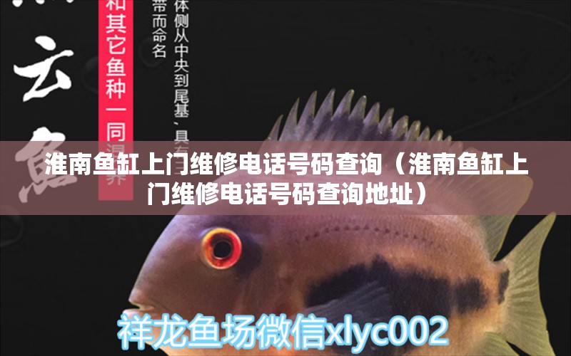 淮南魚(yú)缸上門維修電話號(hào)碼查詢（淮南魚(yú)缸上門維修電話號(hào)碼查詢地址） 白子關(guān)刀魚(yú)