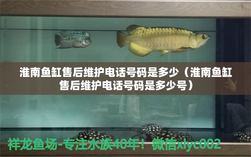 淮南魚缸售后維護(hù)電話號(hào)碼是多少（淮南魚缸售后維護(hù)電話號(hào)碼是多少號(hào)）