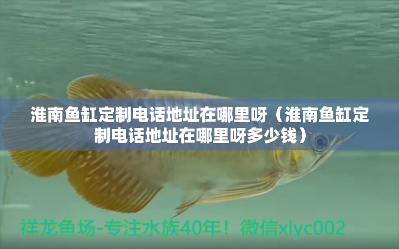 淮南魚缸定制電話地址在哪里呀（淮南魚缸定制電話地址在哪里呀多少錢）