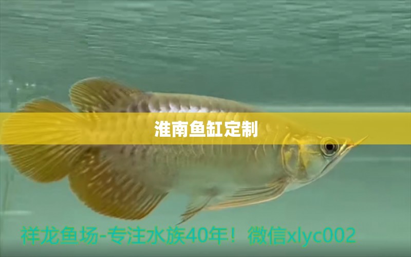 淮南魚缸定制