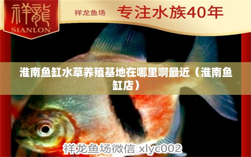 淮南魚缸水草養(yǎng)殖基地在哪里啊最近（淮南魚缸店）