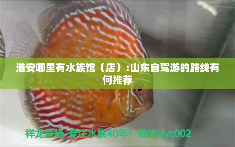 淮安哪里有水族館（店）:山東自駕游的路線有何推薦