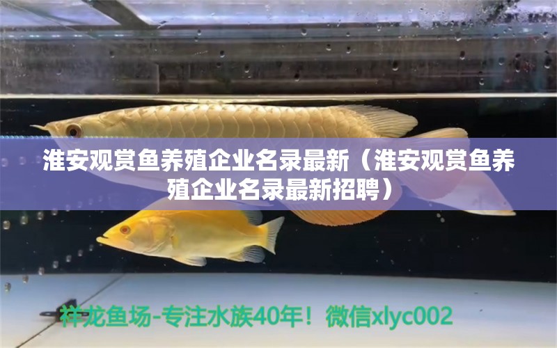 淮安觀賞魚養(yǎng)殖企業(yè)名錄最新（淮安觀賞魚養(yǎng)殖企業(yè)名錄最新招聘）