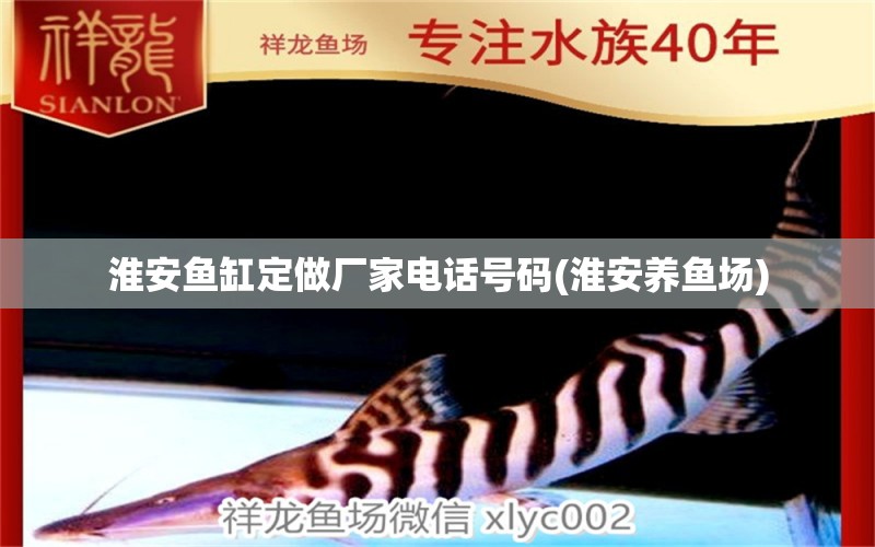 淮安魚缸定做廠家電話號(hào)碼(淮安養(yǎng)魚場(chǎng)) 狗頭魚