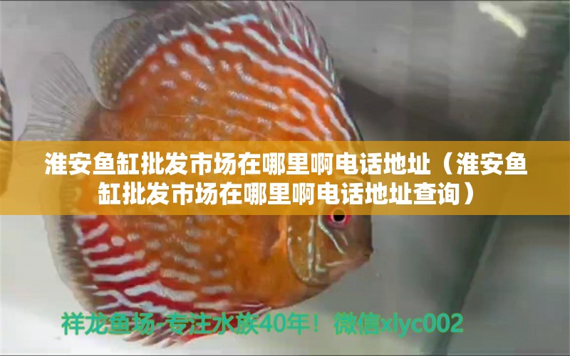 淮安魚缸批發(fā)市場在哪里啊電話地址（淮安魚缸批發(fā)市場在哪里啊電話地址查詢）