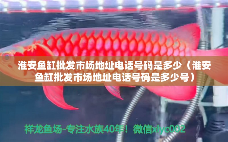 淮安魚缸批發(fā)市場地址電話號碼是多少（淮安魚缸批發(fā)市場地址電話號碼是多少號）