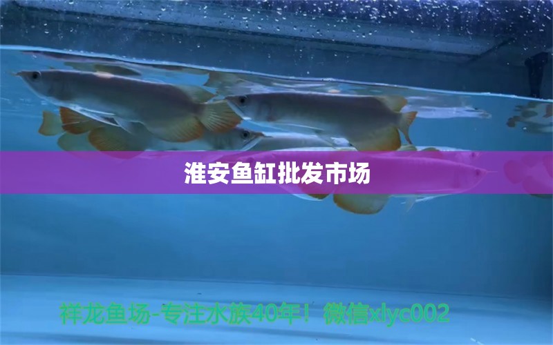 淮安魚缸批發(fā)市場