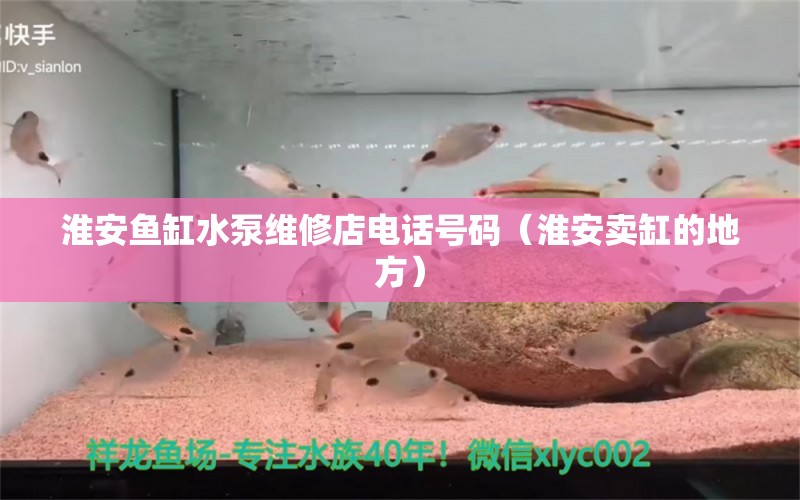 淮安魚(yú)缸水泵維修店電話號(hào)碼（淮安賣缸的地方）