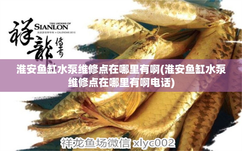 淮安魚缸水泵維修點(diǎn)在哪里有啊(淮安魚缸水泵維修點(diǎn)在哪里有啊電話) 魚缸水泵