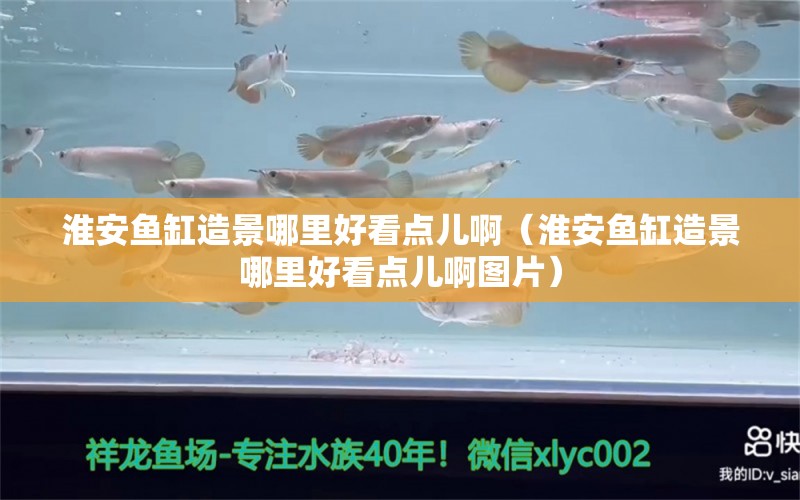 淮安魚缸造景哪里好看點兒?。ɑ窗掺~缸造景哪里好看點兒啊圖片）