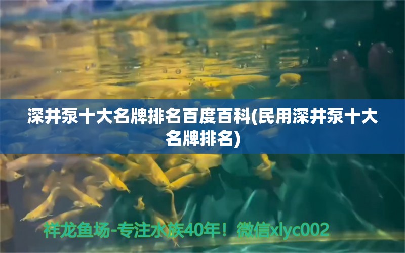 深井泵十大名牌排名百度百科(民用深井泵十大名牌排名) 白子黑帝王魟魚