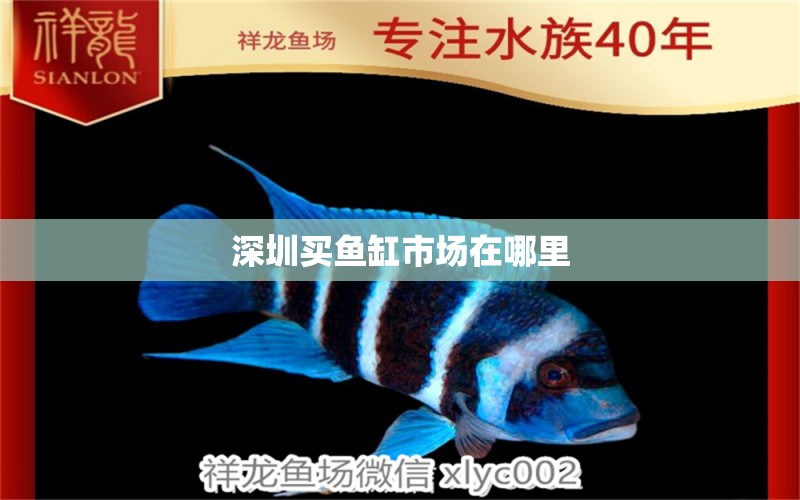 深圳買魚缸市場(chǎng)在哪里 祥龍魚場(chǎng)