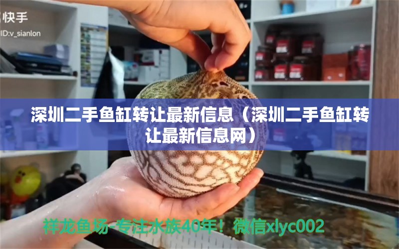 深圳二手魚缸轉(zhuǎn)讓最新信息（深圳二手魚缸轉(zhuǎn)讓最新信息網(wǎng)）