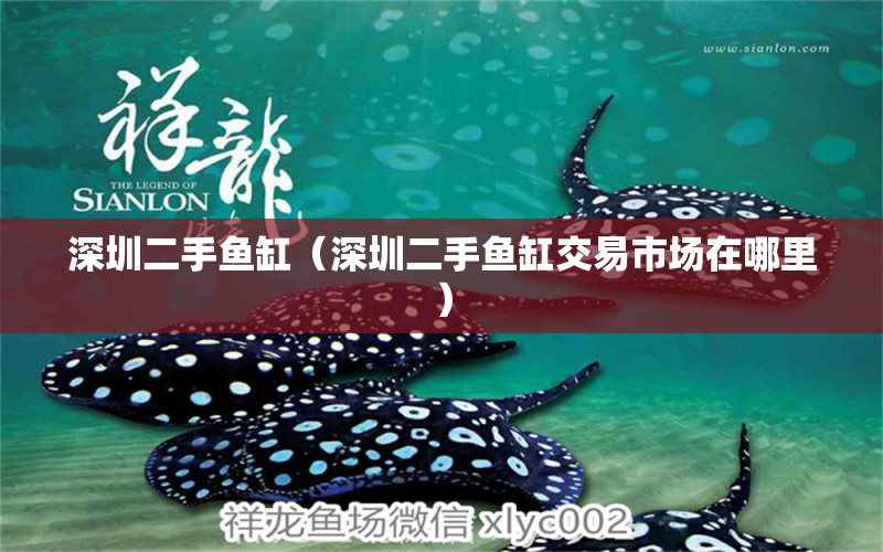 深圳二手魚缸（深圳二手魚缸交易市場(chǎng)在哪里）