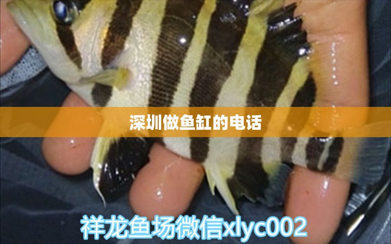 深圳做魚缸的電話 其他品牌魚缸