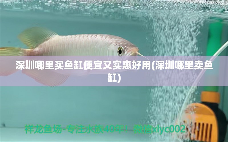 深圳哪里買魚缸便宜又實(shí)惠好用(深圳哪里賣魚缸) 魚缸凈水劑