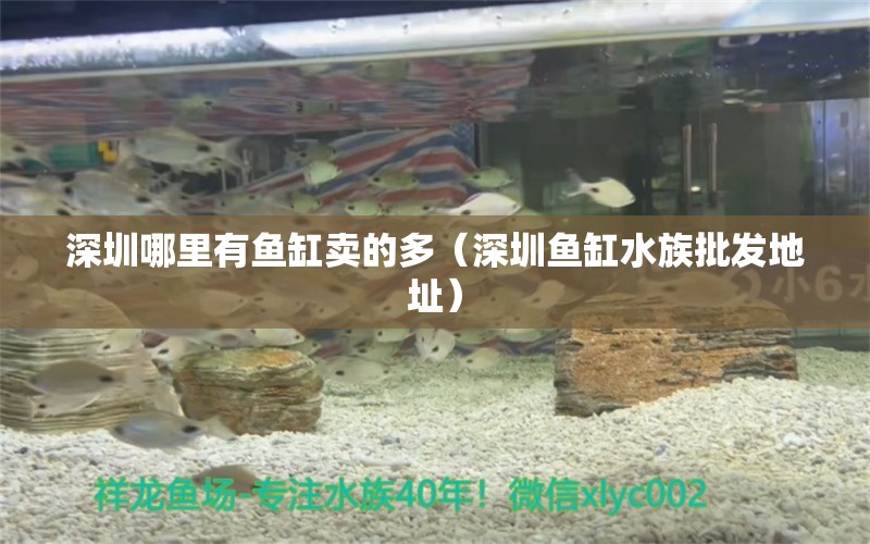 深圳哪里有魚缸賣的多（深圳魚缸水族批發(fā)地址）