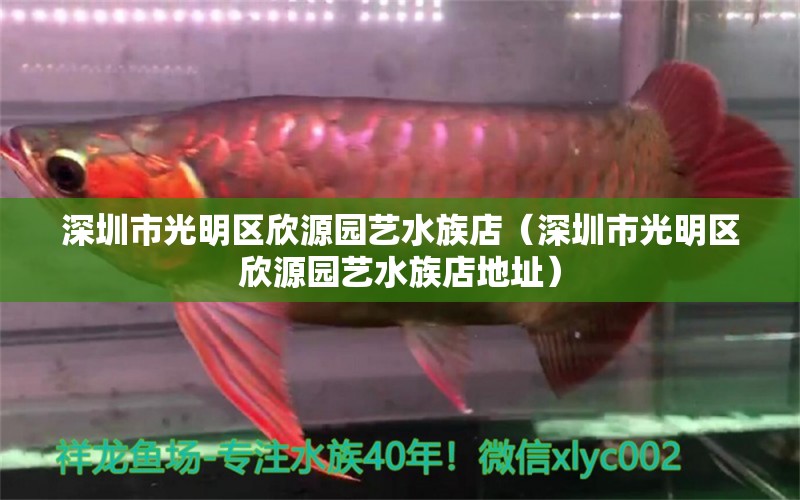 深圳市光明區(qū)欣源園藝水族店（深圳市光明區(qū)欣源園藝水族店地址） 全國水族館企業(yè)名錄