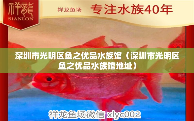 深圳市光明區(qū)魚之優(yōu)品水族館（深圳市光明區(qū)魚之優(yōu)品水族館地址）