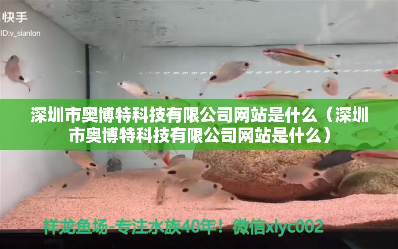 深圳市奧博特科技有限公司網(wǎng)站是什么（深圳市奧博特科技有限公司網(wǎng)站是什么） 博特水族