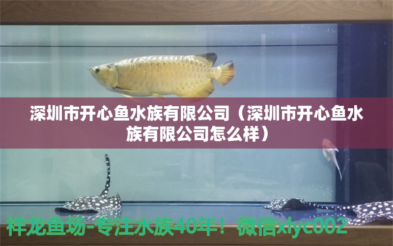 深圳市開心魚水族有限公司（深圳市開心魚水族有限公司怎么樣）