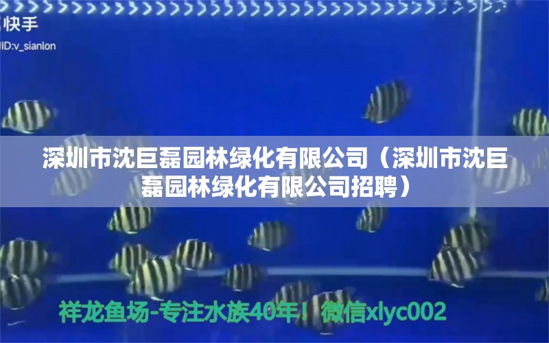 深圳市沈巨磊園林綠化有限公司（深圳市沈巨磊園林綠化有限公司招聘）