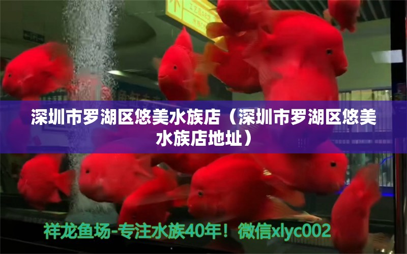 深圳市羅湖區(qū)悠美水族店（深圳市羅湖區(qū)悠美水族店地址） 全國水族館企業(yè)名錄