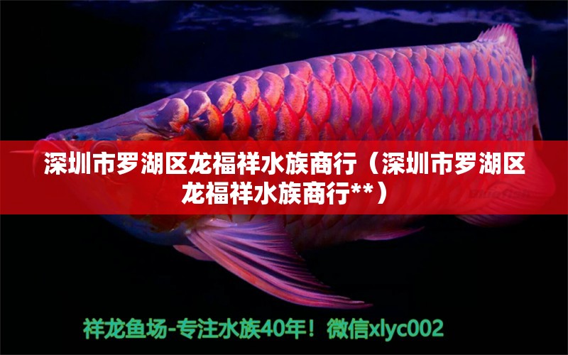 深圳市羅湖區(qū)龍福祥水族商行（深圳市羅湖區(qū)龍福祥水族商行**）