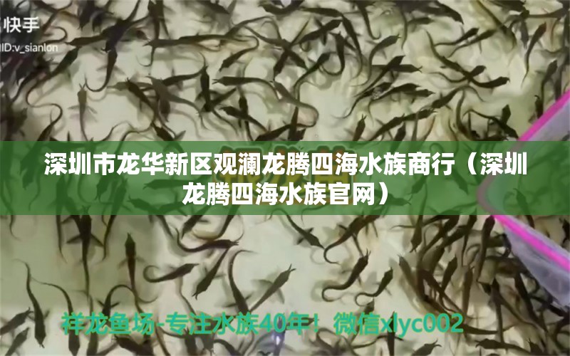 深圳市龍華新區(qū)觀瀾龍騰四海水族商行（深圳龍騰四海水族官網(wǎng)）