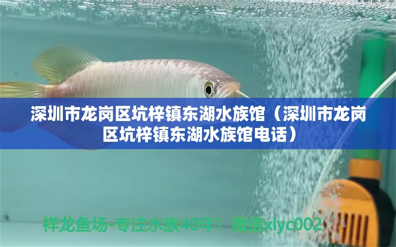 深圳市龍崗區(qū)坑梓鎮(zhèn)東湖水族館（深圳市龍崗區(qū)坑梓鎮(zhèn)東湖水族館電話） 全國(guó)水族館企業(yè)名錄