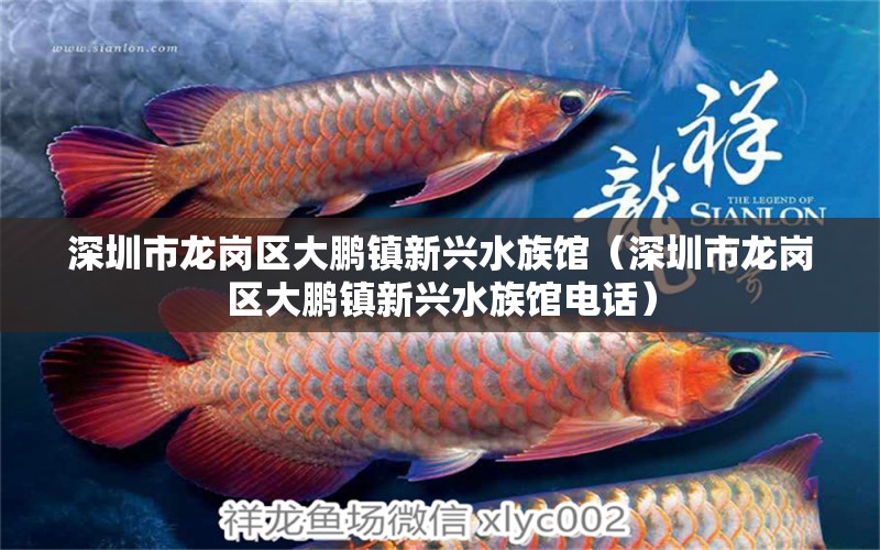 深圳市龍崗區(qū)大鵬鎮(zhèn)新興水族館（深圳市龍崗區(qū)大鵬鎮(zhèn)新興水族館電話） 全國(guó)水族館企業(yè)名錄