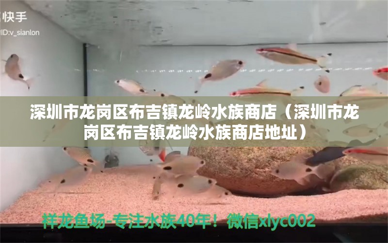 深圳市龍崗區(qū)布吉鎮(zhèn)龍嶺水族商店（深圳市龍崗區(qū)布吉鎮(zhèn)龍嶺水族商店地址） 全國水族館企業(yè)名錄