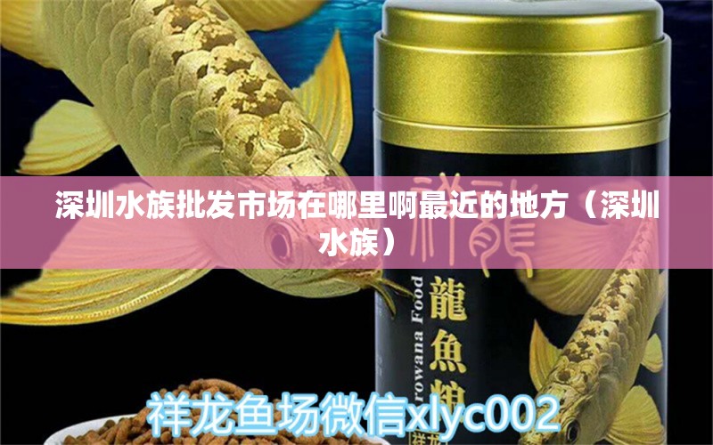 深圳水族批發(fā)市場在哪里啊最近的地方（深圳水族） 觀賞魚水族批發(fā)市場