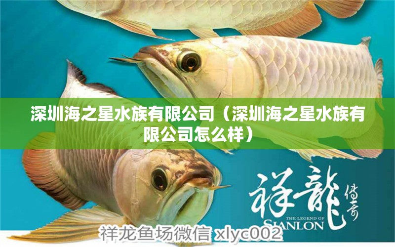 深圳海之星水族有限公司（深圳海之星水族有限公司怎么樣） 全國(guó)水族館企業(yè)名錄