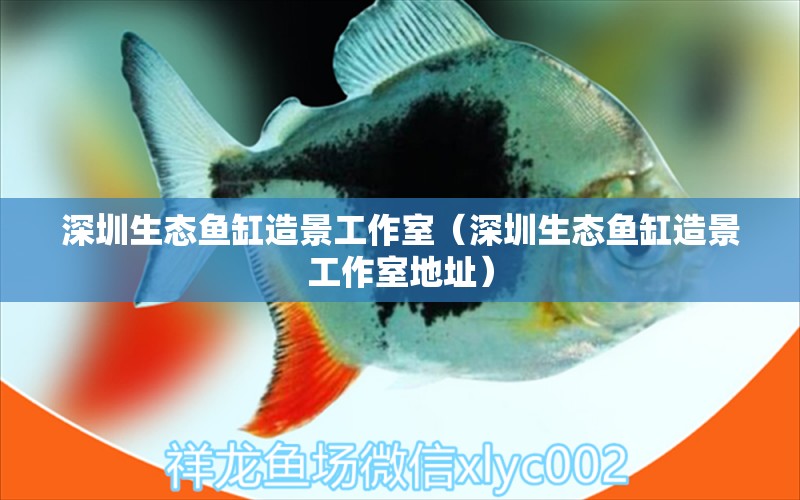 深圳生態(tài)魚缸造景工作室（深圳生態(tài)魚缸造景工作室地址）