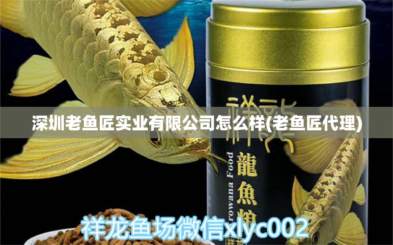 深圳老魚匠實(shí)業(yè)有限公司怎么樣(老魚匠代理)